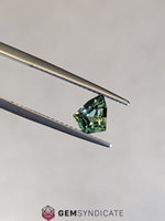 Load image into Gallery viewer, Inspiring Kite Shape Tel Sapphire 1.06ct
