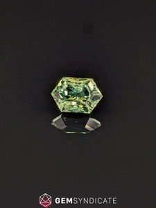 Beautiful Elongated Hexagon Teal Sapphire 1.03ct