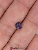 Load image into Gallery viewer, Striking Round Purple Sapphire 1.24ct
