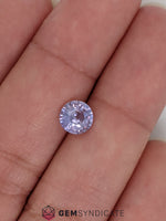 Load image into Gallery viewer, Delightful Round Purple Sapphire 1.32ct
