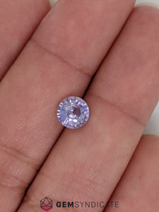Delightful Round Purple Sapphire 1.32ct