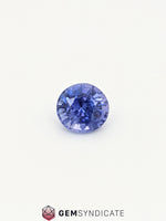Load image into Gallery viewer, Elegant Oval Purple Sapphire 1.74ct
