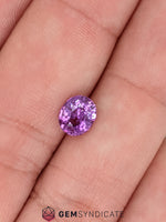 Load image into Gallery viewer, Marvelous Oval Purple Sapphire 1.56ct
