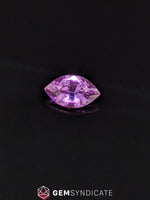 Load image into Gallery viewer, Majestic Marquise Purple Sapphire 1.18ct
