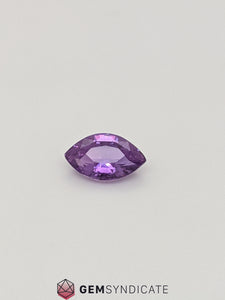 Majestic Marquise Purple Sapphire 1.18ct