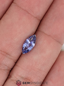 Glorious Marquise Purple Sapphire 1.35ct