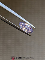 Load image into Gallery viewer, Heavenly Marquise Purple Sapphire 1.44ct
