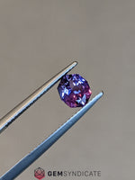 Load image into Gallery viewer, Exclusive Fancy Shape Purple Sapphire 1.55ct
