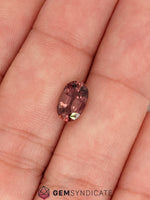 Load image into Gallery viewer, Dramatic Oval Terracotta Sapphire 1.73ct
