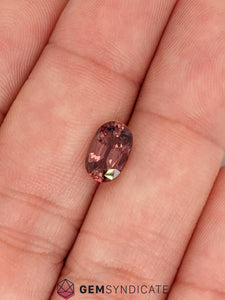 Dramatic Oval Terracotta Sapphire 1.73ct