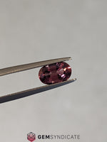 Load image into Gallery viewer, Dramatic Oval Terracotta Sapphire 1.73ct
