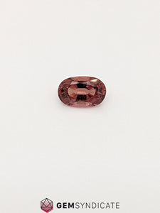 Dramatic Oval Terracotta Sapphire 1.73ct