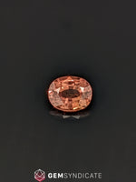 Load image into Gallery viewer, Thrilling Oval Terracotta Sapphire 2.46ct
