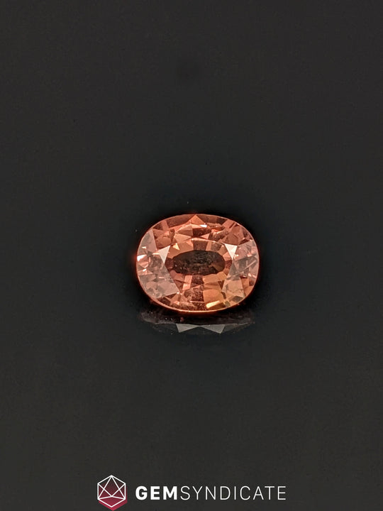 Thrilling Oval Terracotta Sapphire 2.46ct