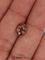 Load image into Gallery viewer, Thrilling Oval Terracotta Sapphire 2.46ct
