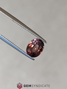 Thrilling Oval Terracotta Sapphire 2.46ct