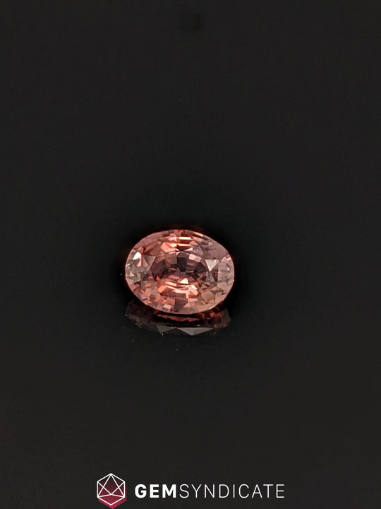 Chic Oval Terracotta Sapphire 1.58ct