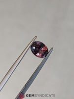 Load image into Gallery viewer, Chic Oval Terracotta Sapphire 1.58ct
