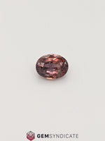 Load image into Gallery viewer, Chic Oval Terracotta Sapphire 1.58ct
