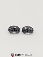 Load image into Gallery viewer, Fantastic Oval Grey Spinel Pair 1.56ctw
