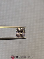 Load image into Gallery viewer, Breathtaking Cushion Grey Spinel 2.42ct
