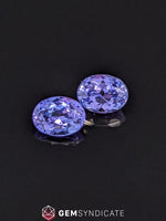 Load image into Gallery viewer, Exquisite Oval Purple Tanzanite Pair 3.20ctw
