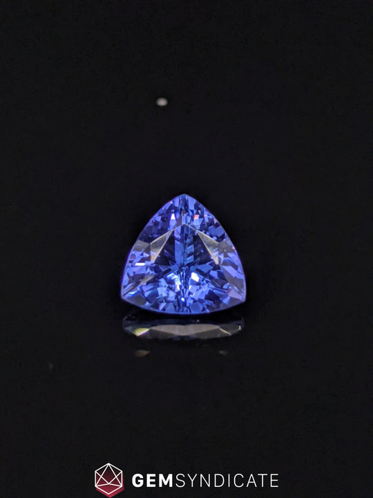 Fascinating Trillion Purplish/Blue Tanzanite 1.72ct