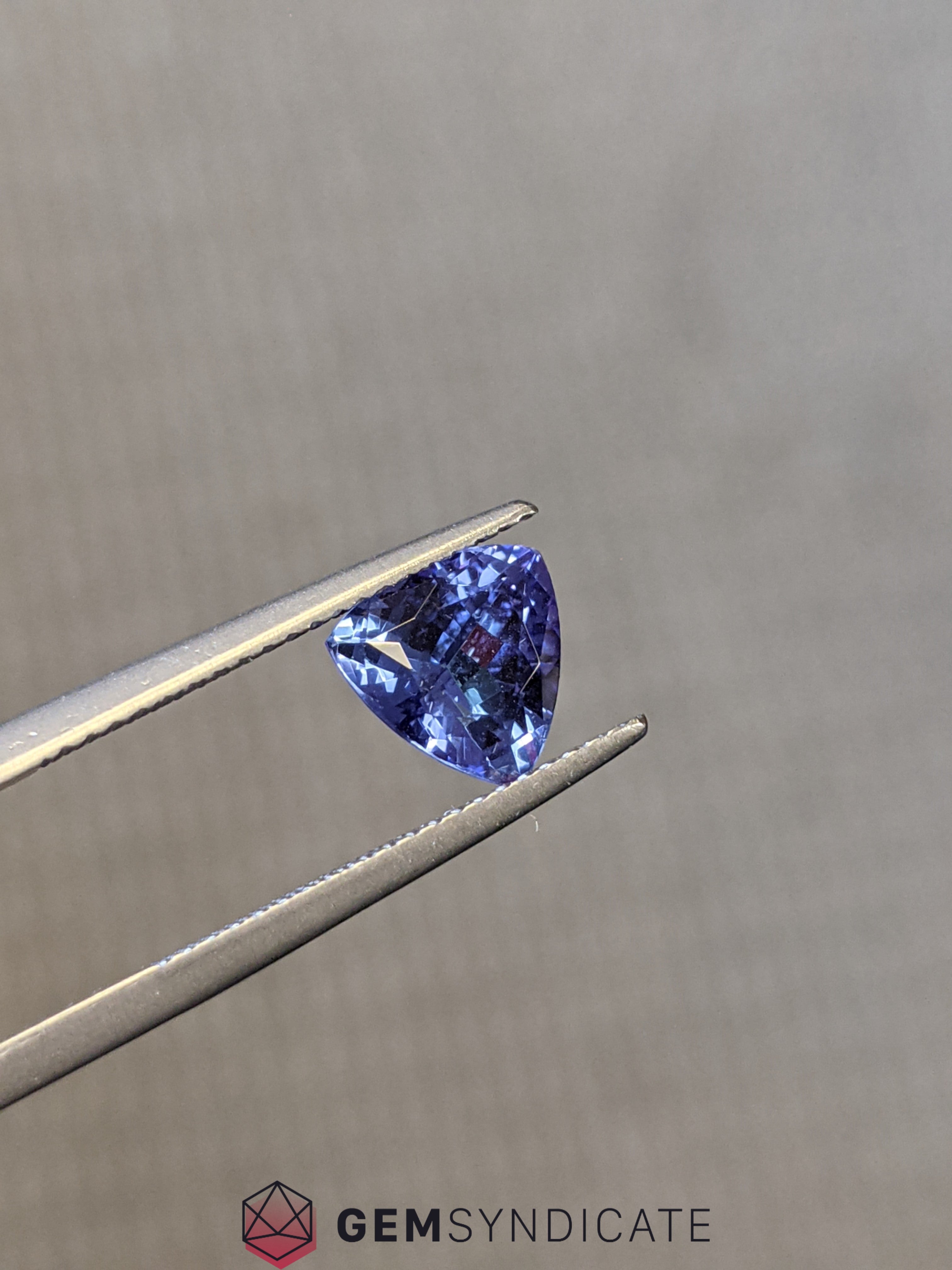 Fascinating Trillion Purplish/Blue Tanzanite 1.72ct