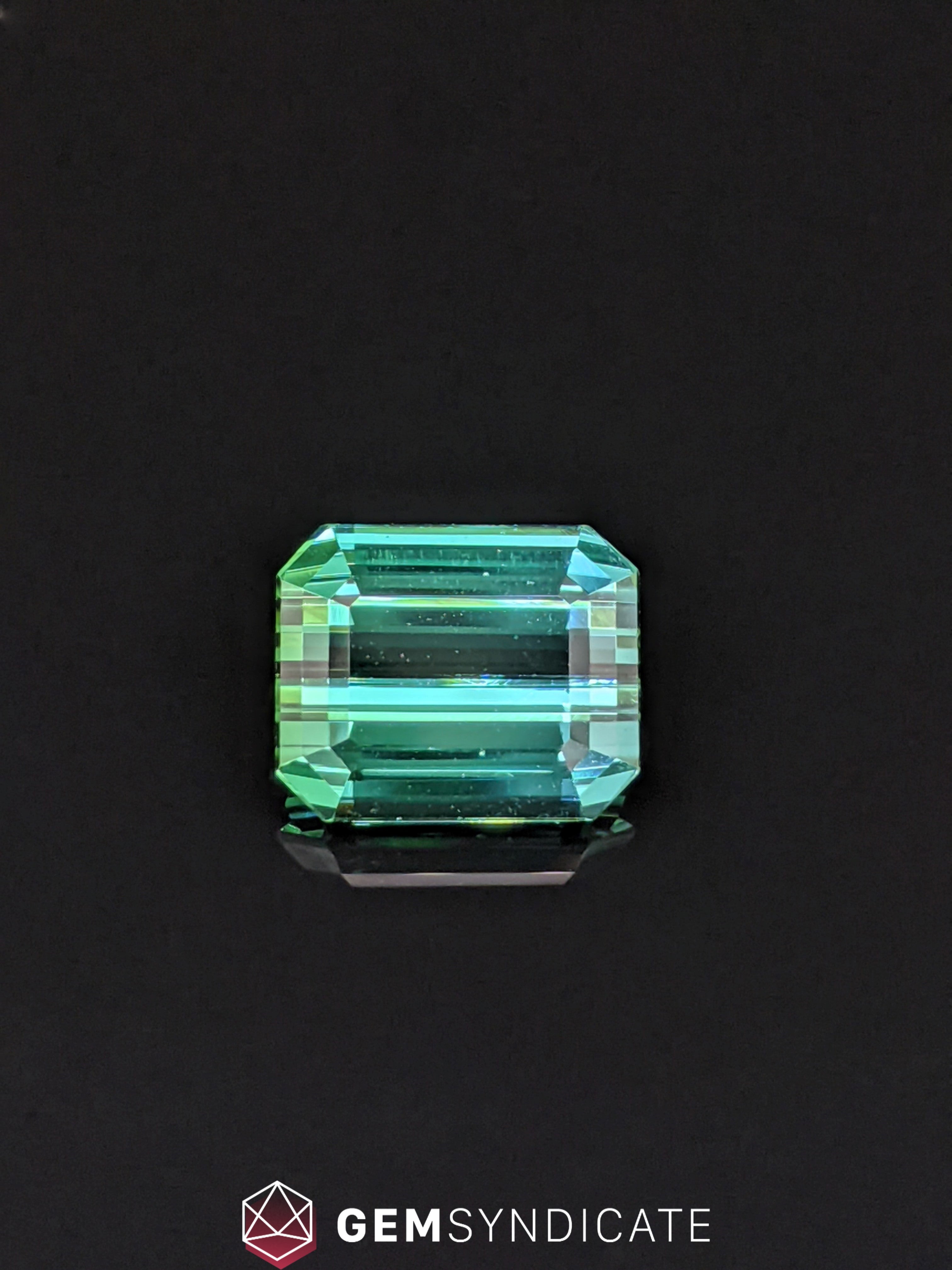 Majestic Emerald Cut Green Tourmaline 6.42ct