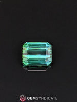 Load image into Gallery viewer, Majestic Emerald Cut Green Tourmaline 6.42ct
