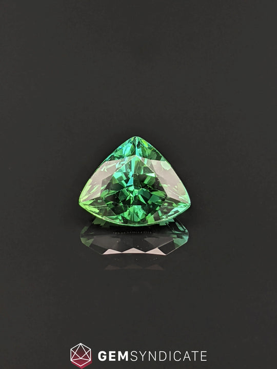 Outstanding Trillion Shape Green Tourmaline 3.28ct