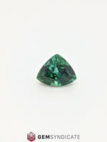 Load image into Gallery viewer, Outstanding Trillion Shape Green Tourmaline 3.28ct

