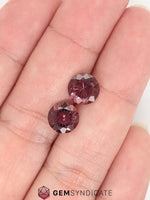 Load image into Gallery viewer, Lovely Round Pink Tourmaline Pair 3.31ctw
