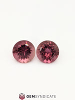 Load image into Gallery viewer, Lovely Round Pink Tourmaline Pair 3.31ctw
