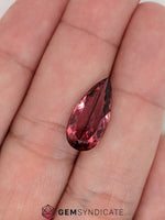 Load image into Gallery viewer, Splendid Pear Shape Pink Tourmaline 4.65ct
