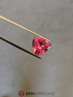 Load image into Gallery viewer, Exquisite Trillion Rubellite Tourmaline 5.97ct
