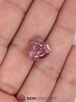 Load image into Gallery viewer, Divine Trillion Shape Pink Tourmaline 6.21ct
