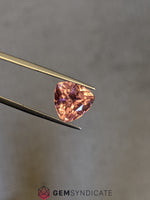 Load image into Gallery viewer, Divine Trillion Shape Pink Tourmaline 6.21ct
