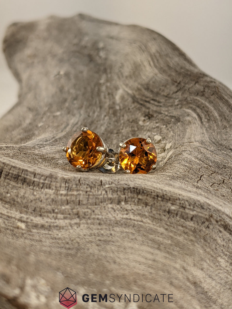Enchanting Citrine Solitaire Stud Birthstone Earrings – The Gem Syndicate