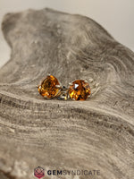 Load image into Gallery viewer, Enchanting Citrine Solitaire Stud Birthstone Earrings
