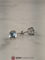 Load image into Gallery viewer, Alluring Aquamarine Solitaire Stud Birthstone Earrings
