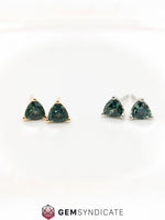 Load image into Gallery viewer, Impressive Teal Montana Sapphire Solitaire Stud Earrings
