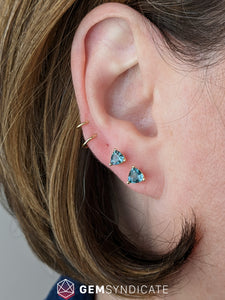 Impressive Teal Montana Sapphire Solitaire Stud Earrings
