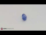 Load and play video in Gallery viewer, Classy Oval Blue Sapphire 2.57ct
