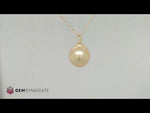 Load and play video in Gallery viewer, Elegant Golden South Sea Pearl Necklace in 14k Yellow Gold
