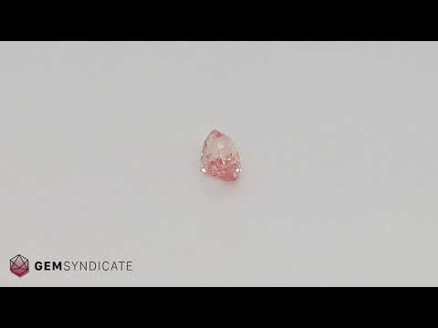 Splendid Cushion Padparasha Peach Sapphire 1.54ct