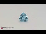 Load and play video in Gallery viewer, Sumptuous Trillion Shape Blue Aquamarine 5.92ct
