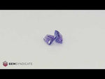 Load and play video in Gallery viewer, Wonderful Trapezoid Purple Tanzanite Pair 1.50ctw
