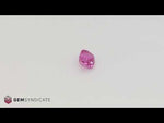 Load and play video in Gallery viewer, Divine Cushion Pink Sapphire 1.51ct
