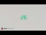 Load and play video in Gallery viewer, Alluring Oval Paraiba Tourmaline 1.07ct
